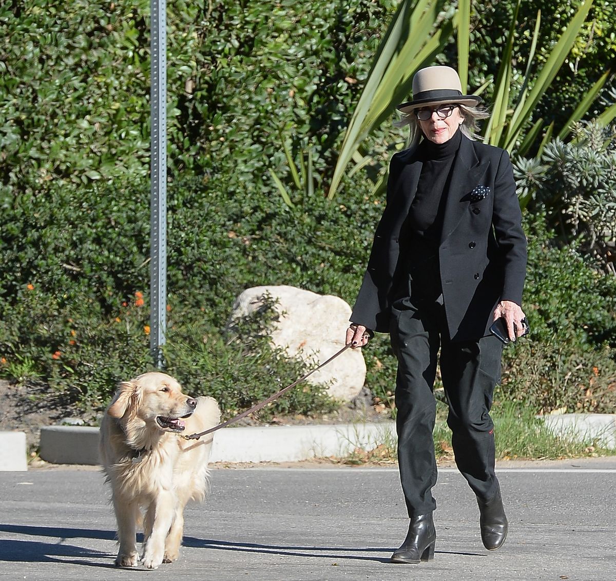 Diane Keaton mindennap sétáltatta kutyáját a háza környékén