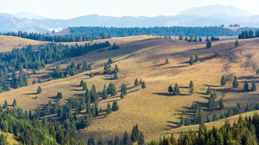 Kvíz kérdést ábrázoló kép.