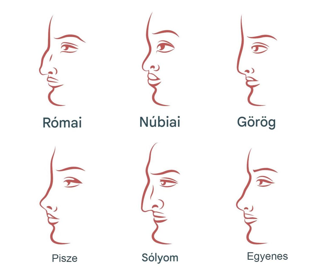 Személyiségteszt az orr formája, jelentése alapján
