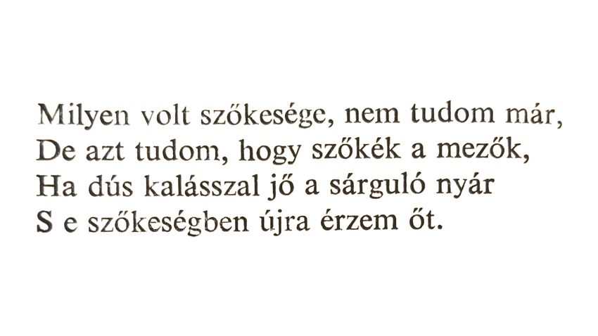 Kvíz kérdést ábrázoló kép.