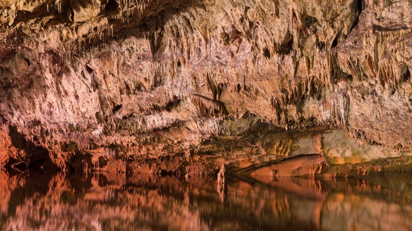 Kvíz kérdést ábrázoló kép.