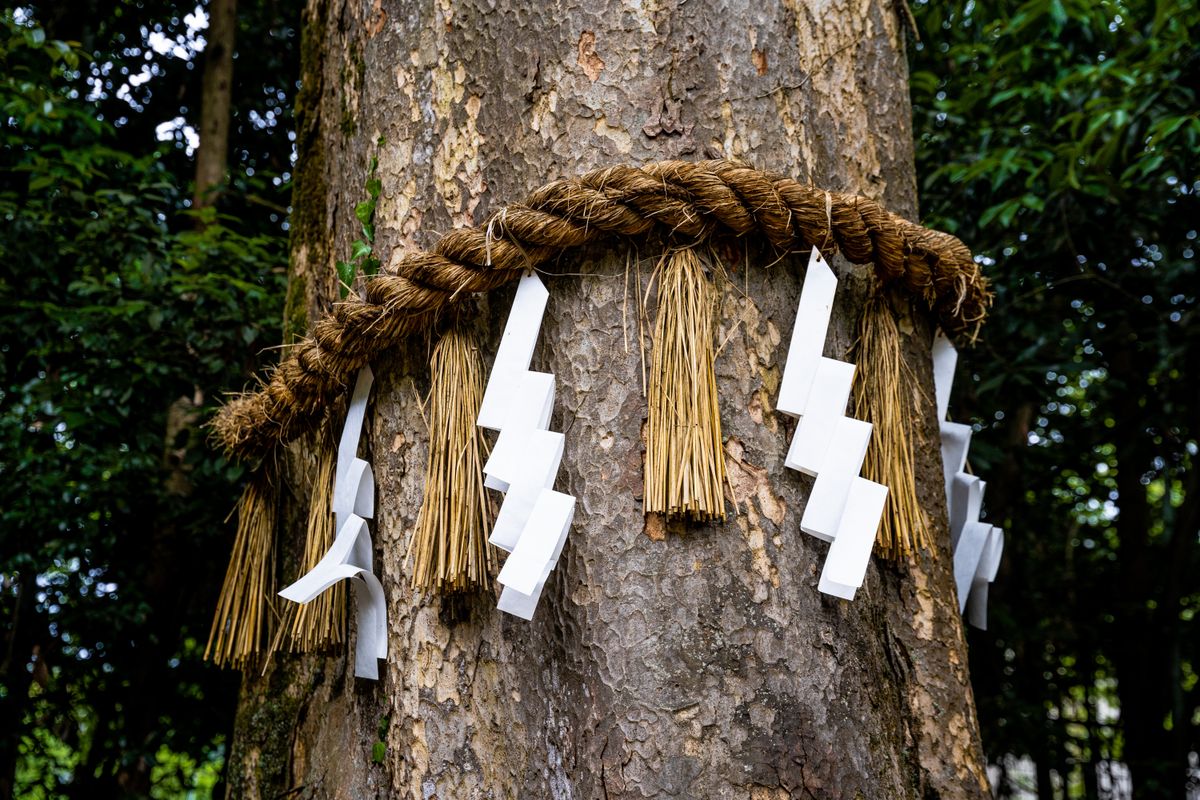 erdő szellemei Japánban