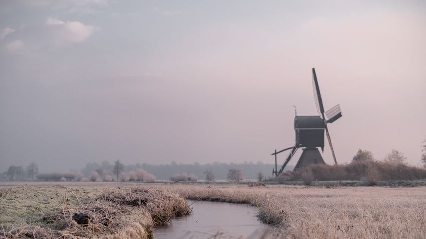 Kvíz kérdést ábrázoló kép.