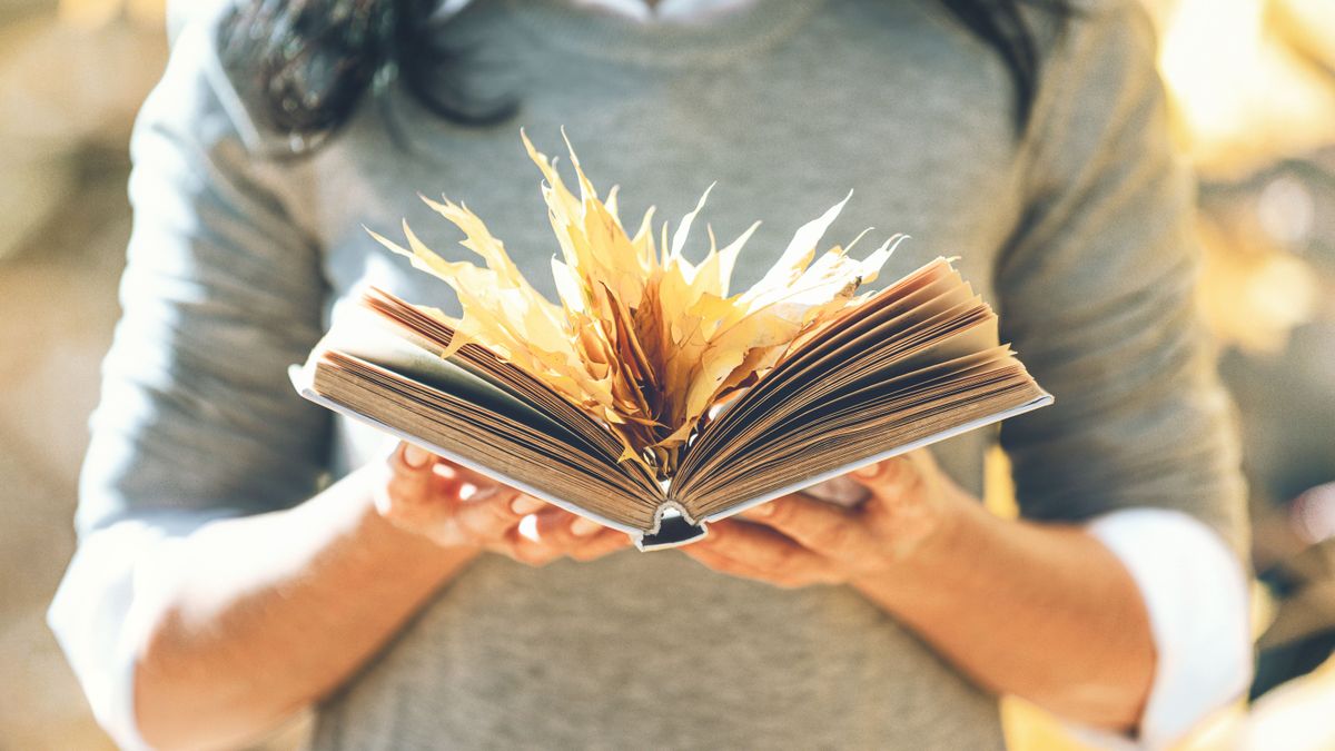 Napi horoszkóp 2025. november 19.: az Oroszlánnak új célja van, a Skorpió nagy bevételre számíthat