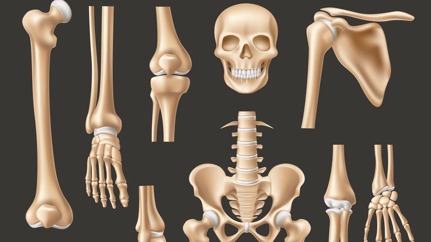 Kvíz kérdést ábrázoló kép.