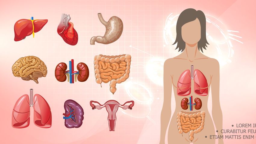 Kvíz kérdést ábrázoló kép.