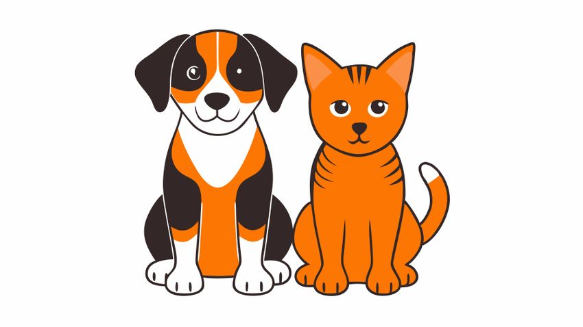 Kvíz kérdést ábrázoló kép.