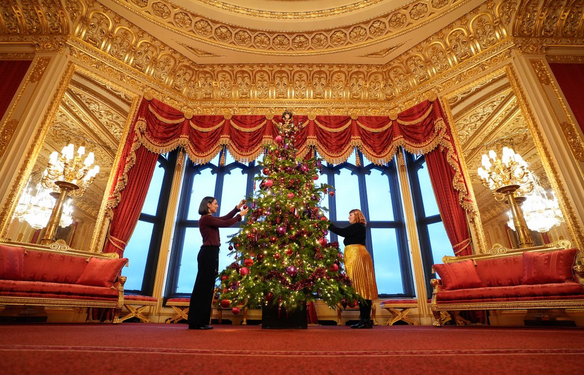 A windsori kastély karácsonyfája 6 méter magas Nordmann fenyő.