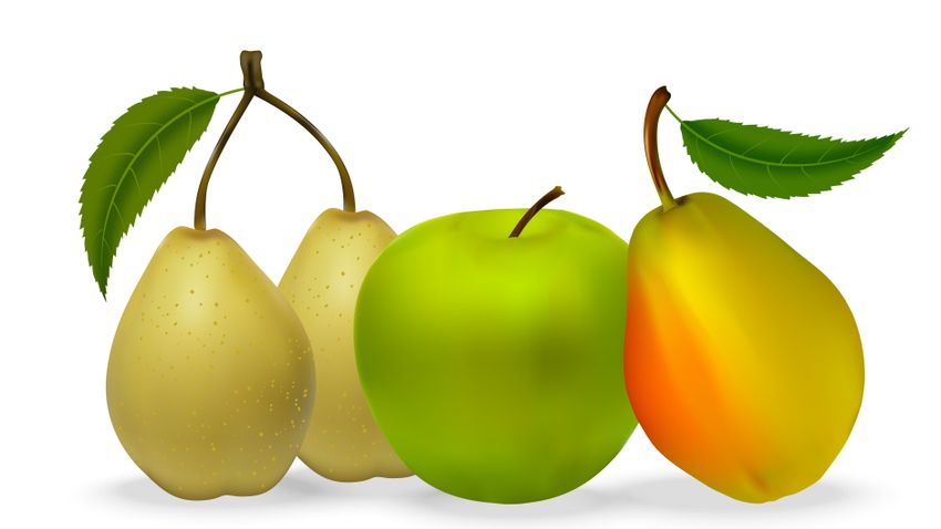 Kvíz kérdést ábrázoló kép.