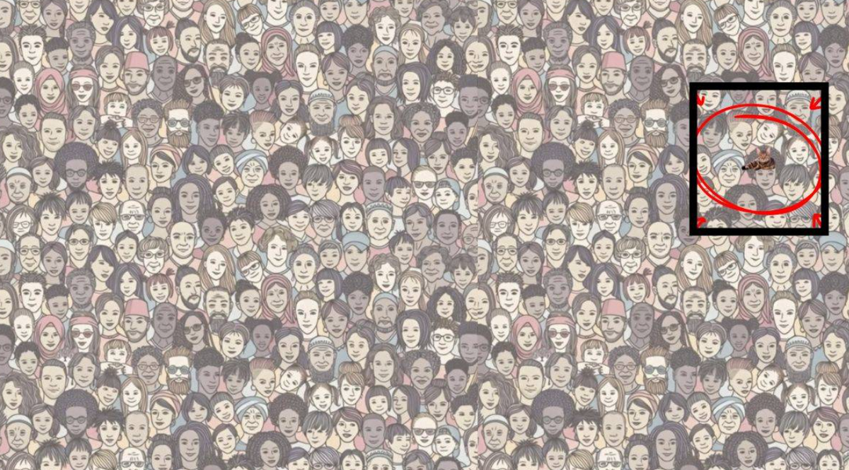 képes rejtvény, IQ-teszt