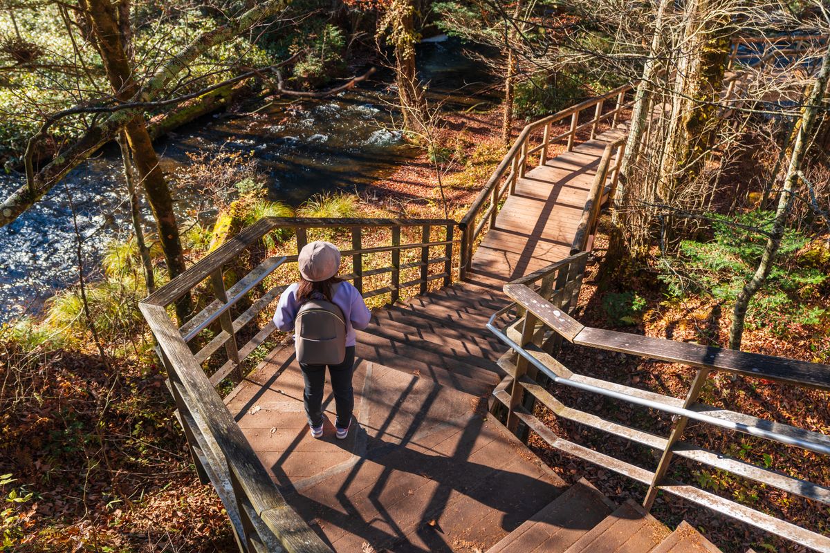 Napi horoszkóp 2025. november 12