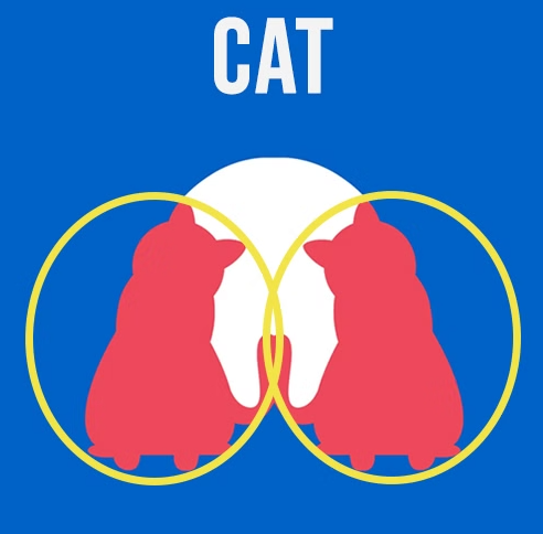 Személyiségteszt: két macska, egy kutya és egy fog. 