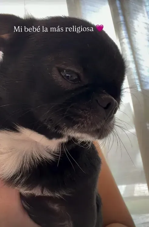 Cristiano Ronaldo gyerekei imádják az új jövevényt