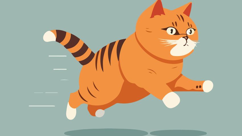 Kvíz kérdést ábrázoló kép.