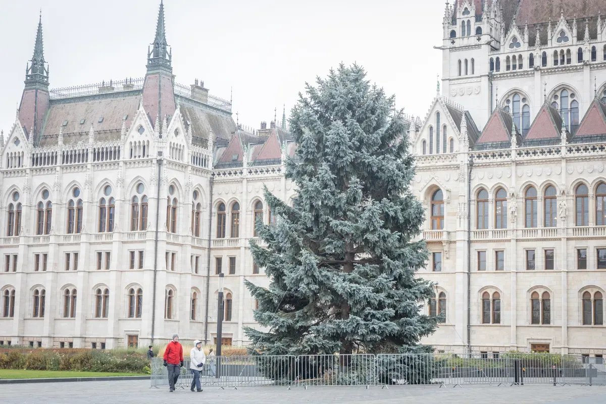 A Kossuth téren díszeleg az ország karácsonyfája