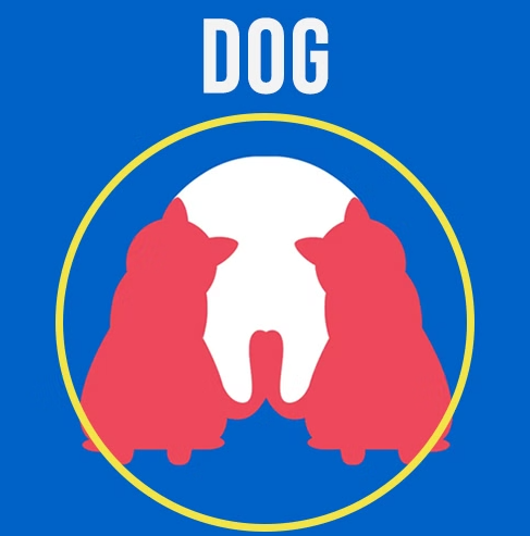 Személyiségteszt: két macska, egy kutya és egy fog. 