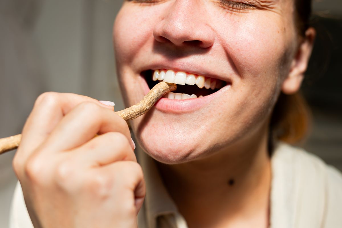 Botok, mint korai fogkefék