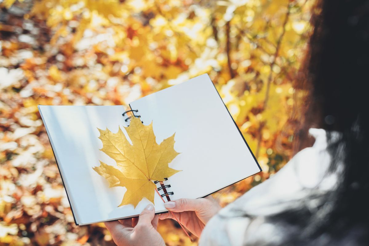 Napi horoszkóp 2025. november 19