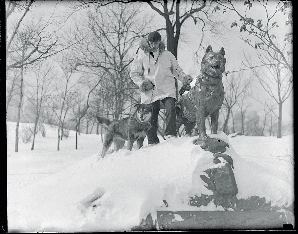 (Original Caption) New York City: Honoring A Departed Comrade. A few years ago, a heroic dog team broke through an icy wilderness to bring lifesaving serum to residents of Nome, Alaska, in a dash which electrified the world. The hero of this trip was a Siberian husky, named "Balto," who has since died. A comrade of Balto in the team was "Matti," who is seen here with his master, Harry Wheeler, beside the statue of Balto erected in Central Park, New York. Wheeler has Matti and a team of Siberian huskies exhibit in the Dog Show to be held at Grand Central Palace, New York.