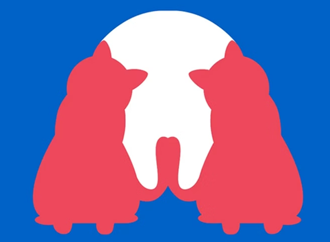 Személyiségteszt: két macska, egy kutya és egy fog. 