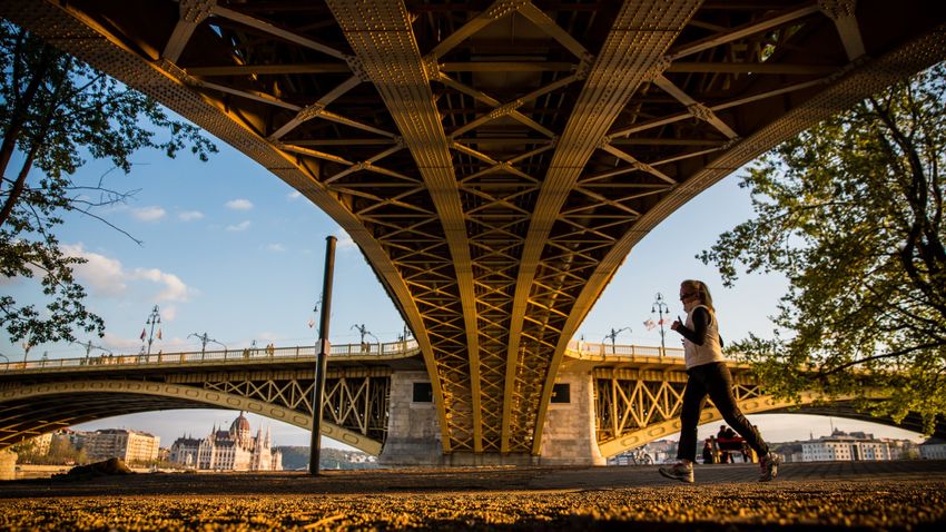 Kvíz kérdést ábrázoló kép.