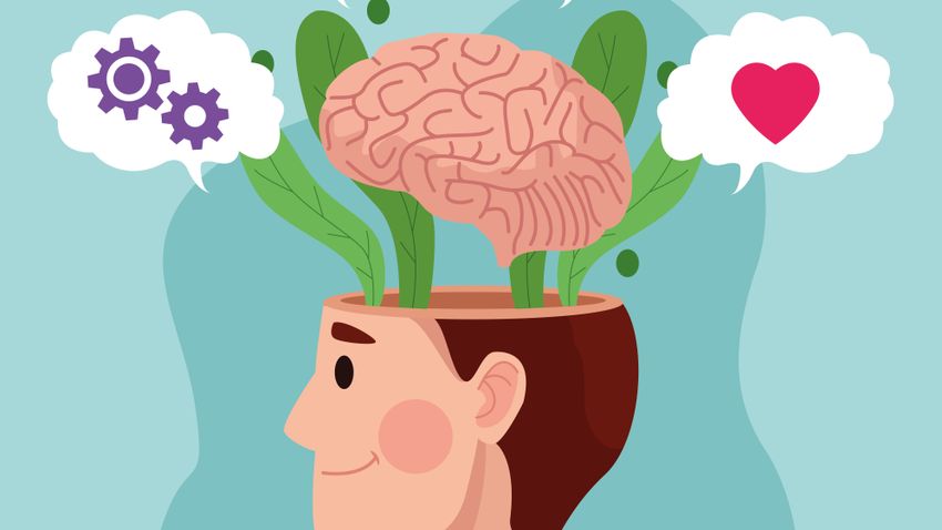 Kvíz kérdést ábrázoló kép.