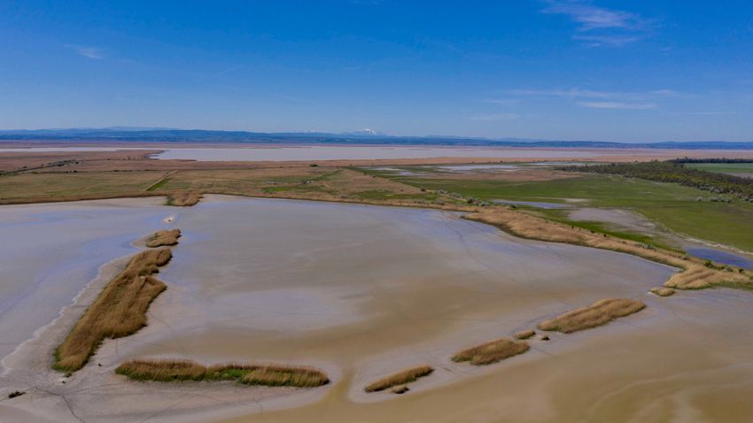 Kvíz kérdést ábrázoló kép.