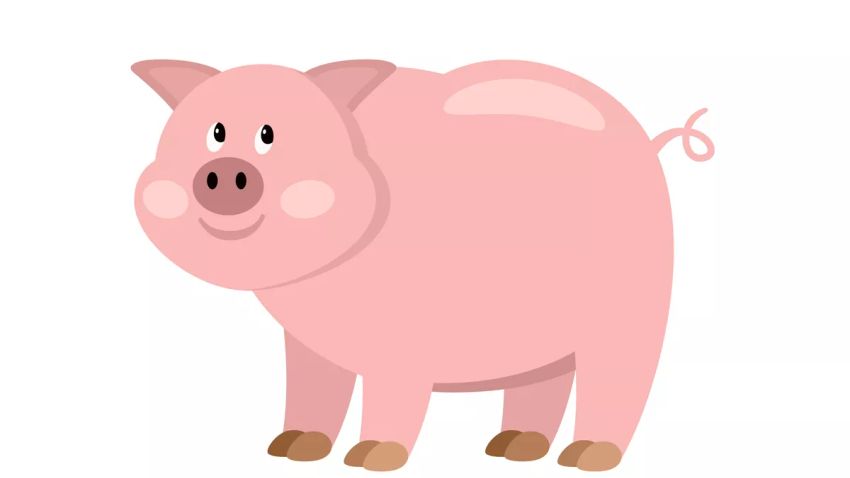 Kvíz kérdést ábrázoló kép.