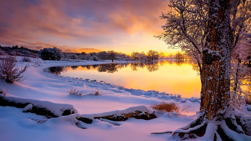 Kvíz kérdést ábrázoló kép.