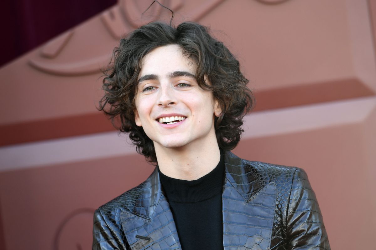 LOS ANGELES, CALIFORNIA - DECEMBER 10: Timothée Chalamet attends Los Angeles Premiere of Warner Bros. "Wonka" at Regency Village Theatre on December 10, 2023 in Los Angeles, California. (Photo by JC Olivera/Getty Images)
