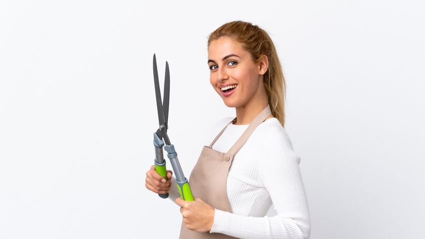 Kvíz kérdést ábrázoló kép.