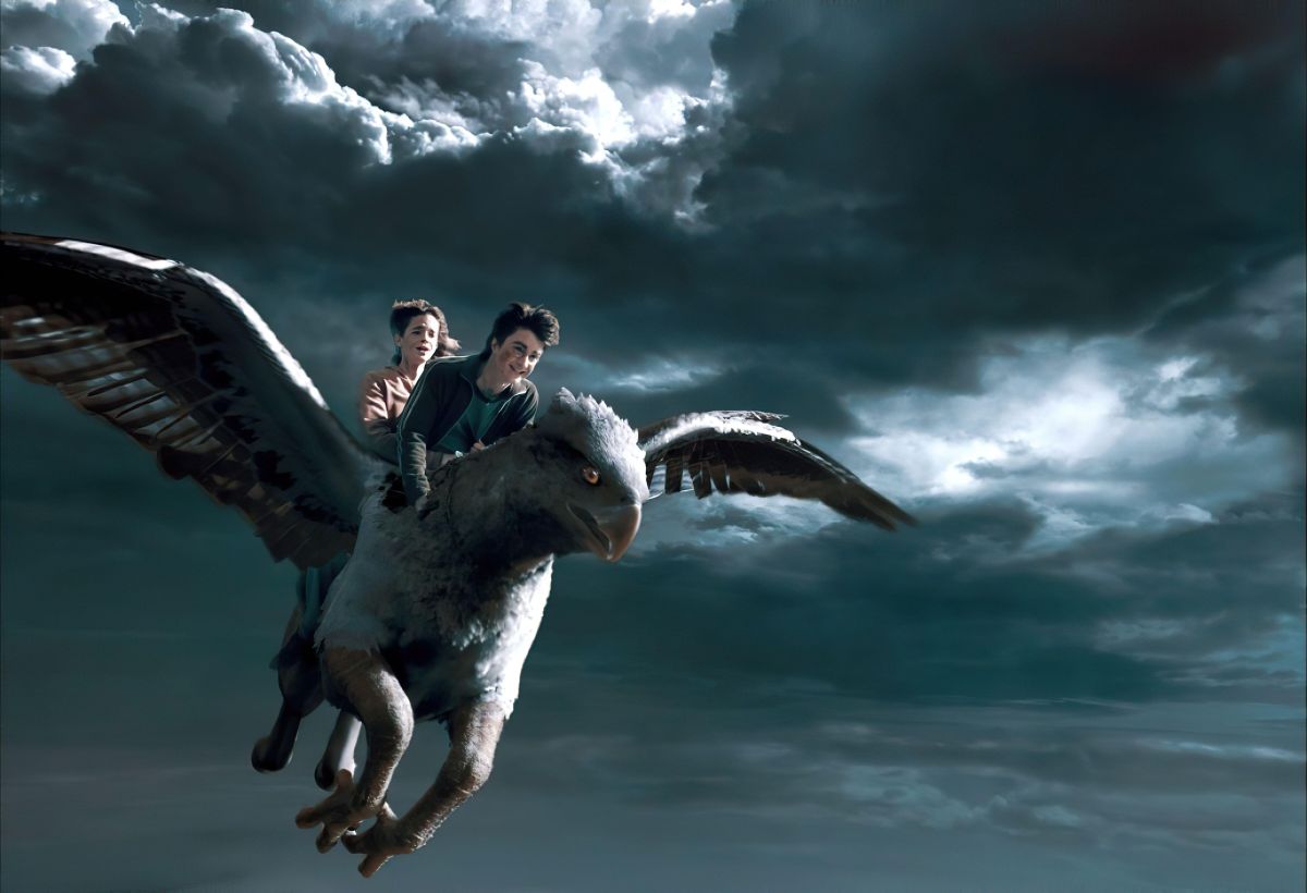Csikócsőr, a hippogriff