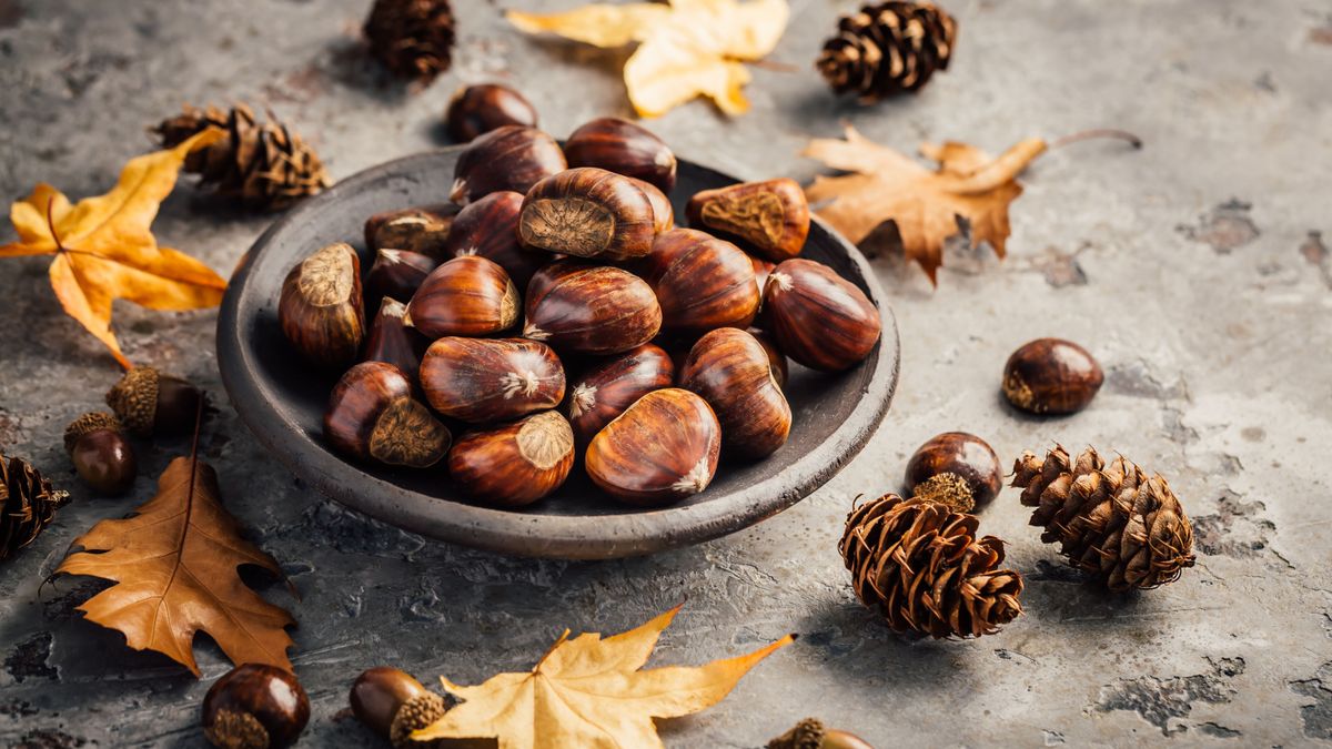 A gesztenye igazi szupergyümölcs, a belőle készült ételek minden szívet megmelengetnek.