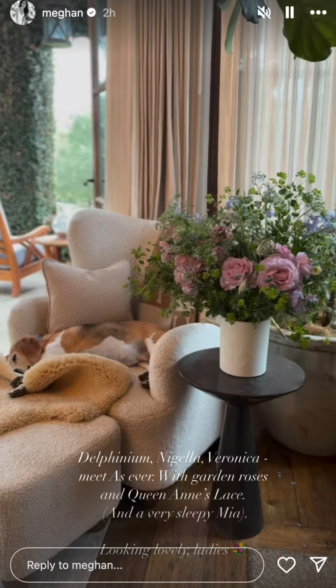 Meghan Markle nappalija