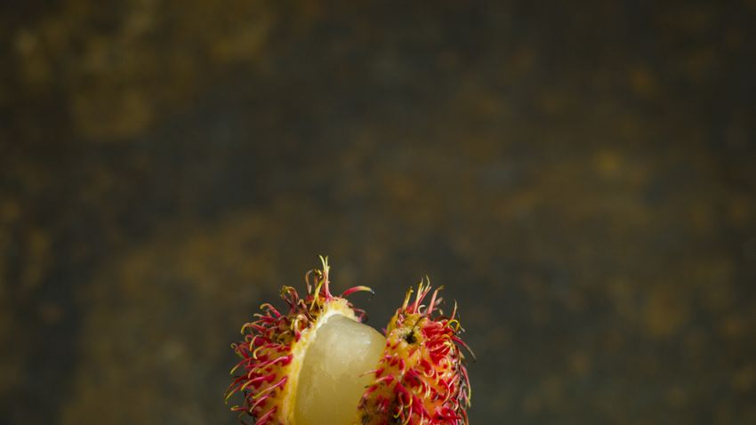 Kvíz kérdést ábrázoló kép.