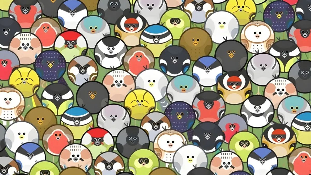 teszt, képes rejtvény