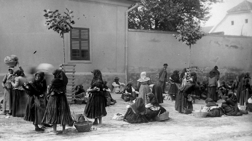 Kvíz kérdést ábrázoló kép.