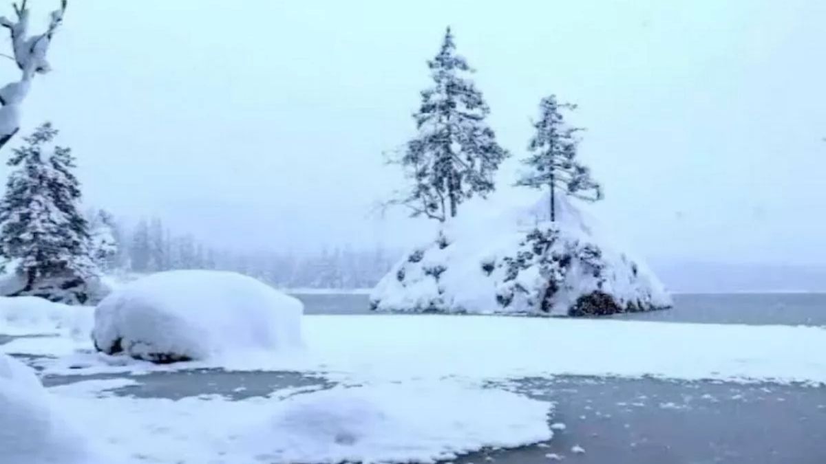 Ha nem látod az optikai tesztet, találd ki vers alapján: Végtelen hómezőn fehér a bundája, Jégtáblák között az észak királya. Nesztelen léptekkel a csendre vigyáz, Míg körülöleli a fagyos világ.