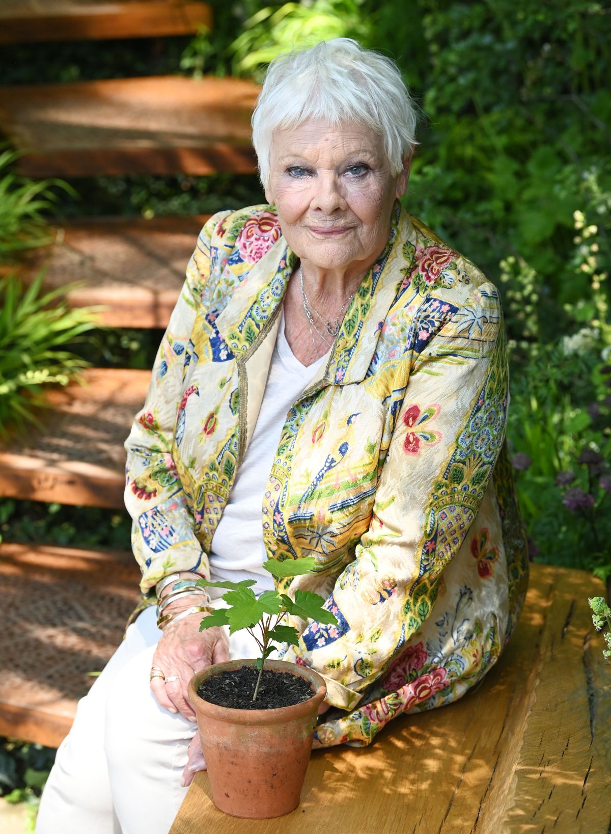 Judy Dench már szinte vak