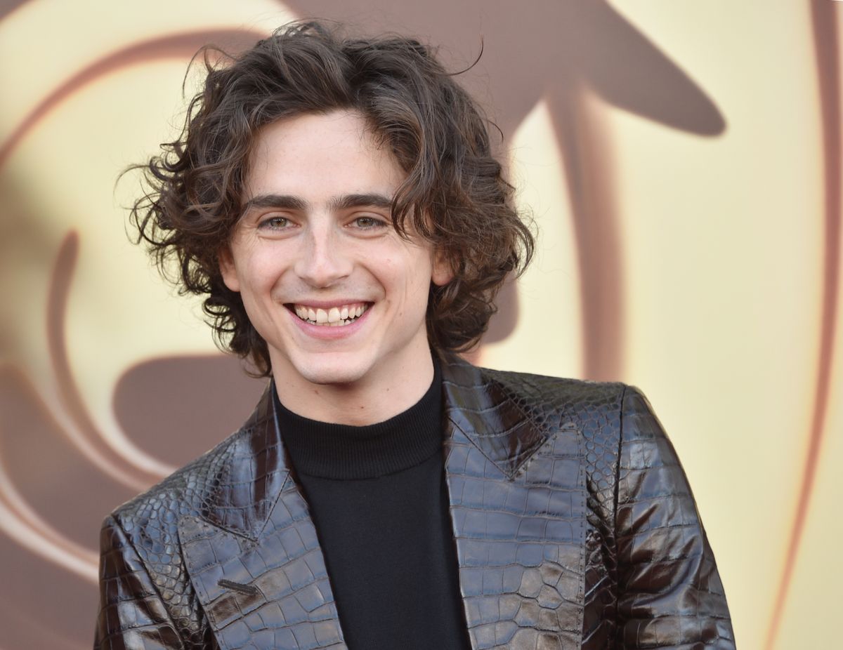 Timothée Chalamet elárulta, hogy ki a legnagyobb példaképe