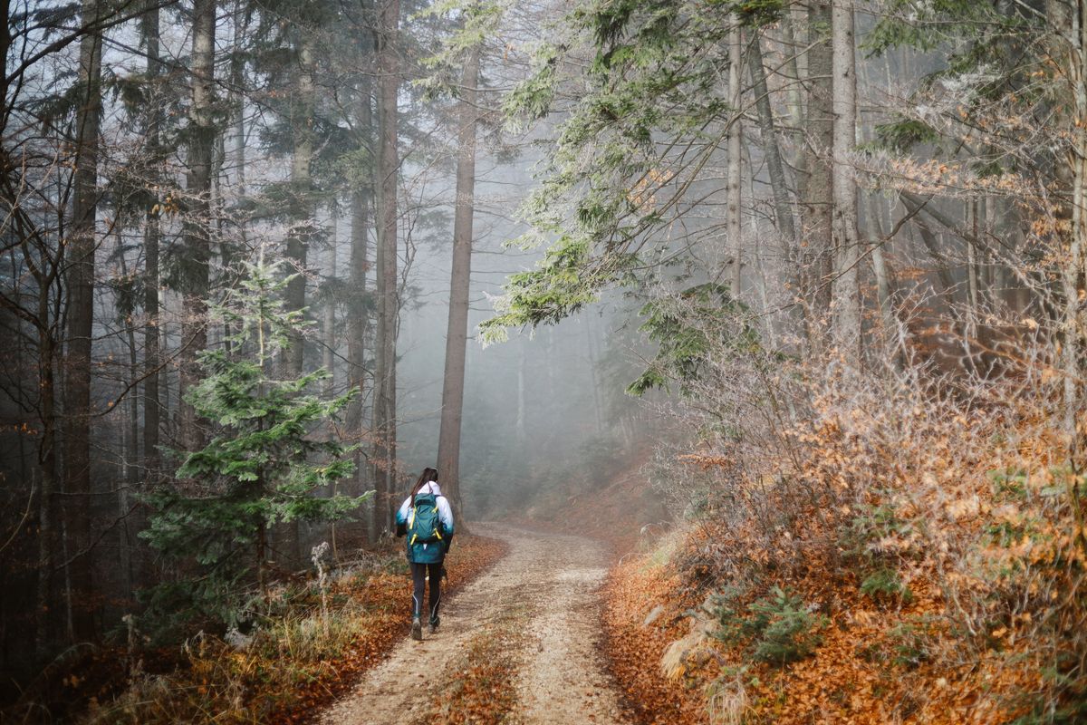 Napi horoszkóp 2025. december 4
