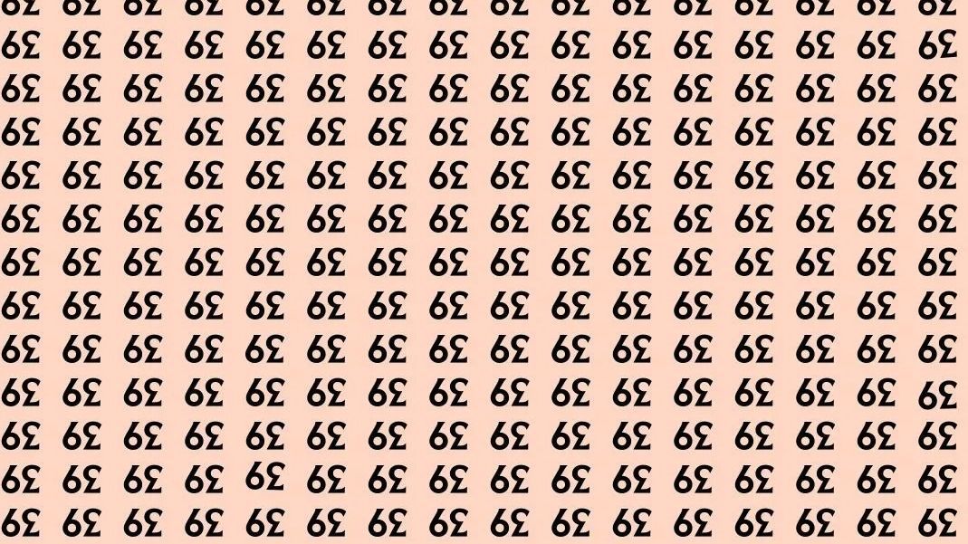 IQ-teszt, kakukktojás rejtvény