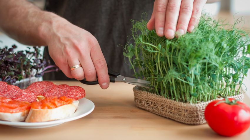 Kvíz kérdést ábrázoló kép.