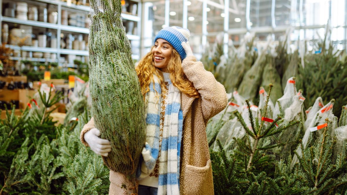 karácsonyfa vásárlás