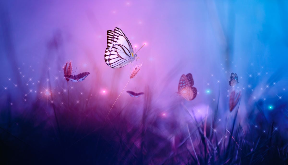 Állatok az álomfejtés szerint