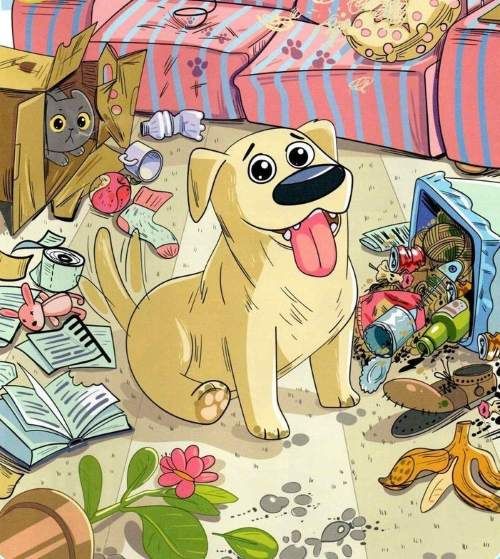 A képes IQ-teszt feladványa.