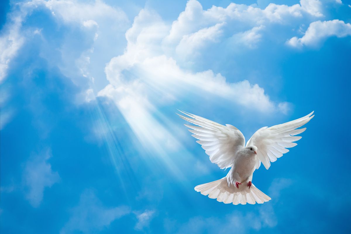 Inka madárhoroszkóp: a legkedvesebb madárjegyek a legnagyobb szívű csillagjegyekkel teljesen azonosak.&nbsp;