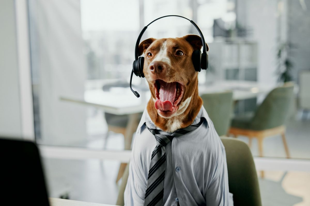 Kiskedvenced nap mint nap beszél hozzád. A kutyaugatás ennek csak egyetlen – bár nagyon hangos – eleme.