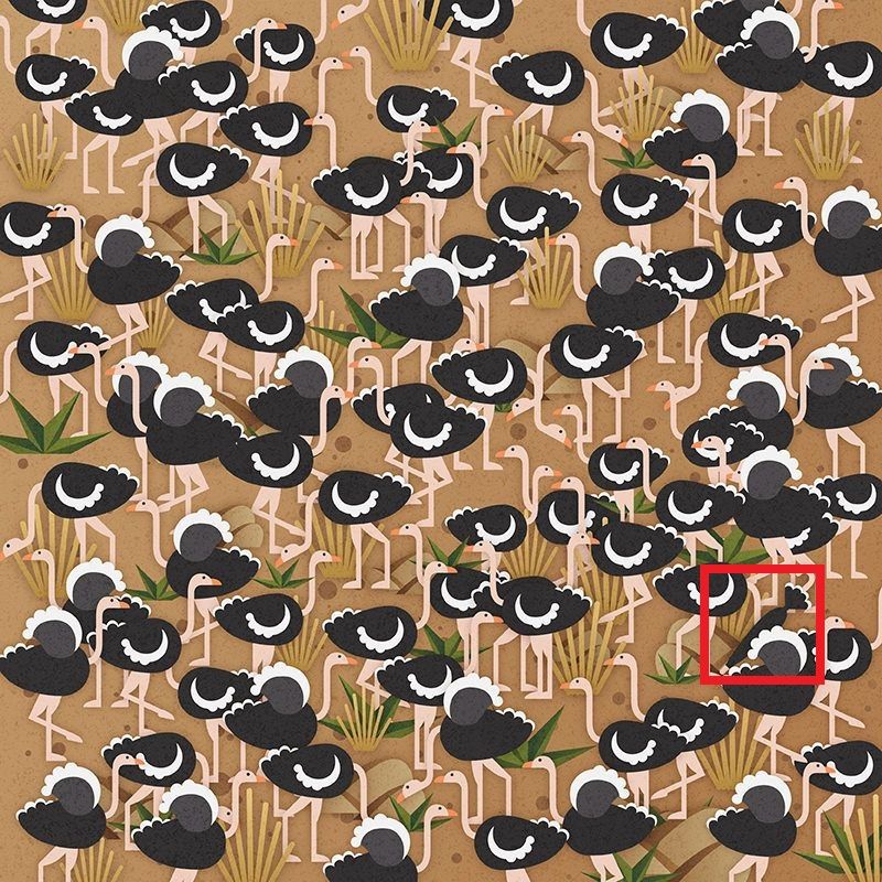 Optikai illúziós IQ-teszt, bekeretezve az esernyővel