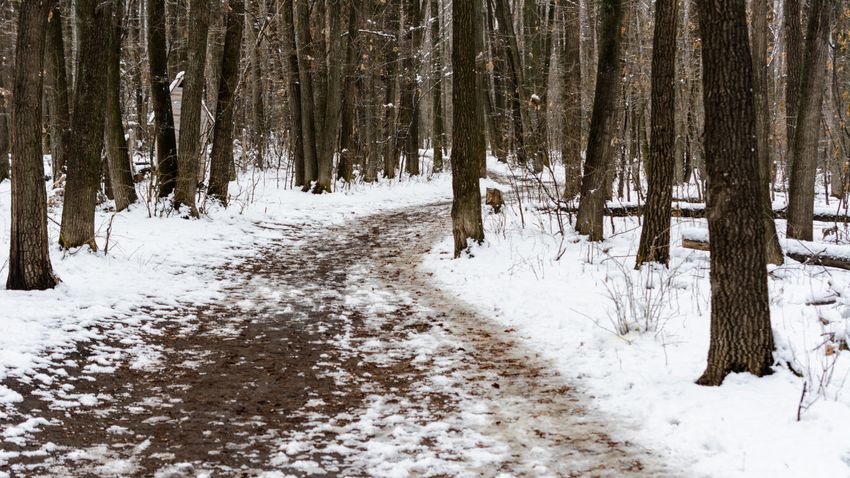 Kvíz kérdést ábrázoló kép.